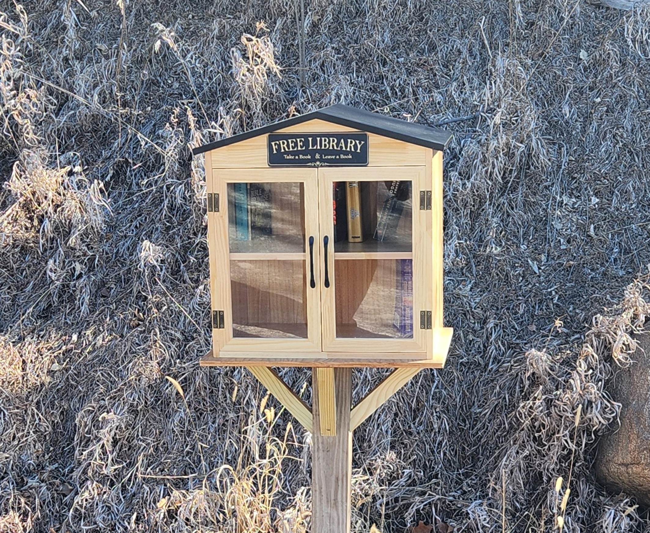 Little Free Library